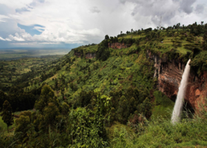 Car Hire in Jinja